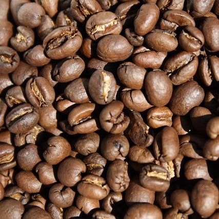 Ethiopian Guji